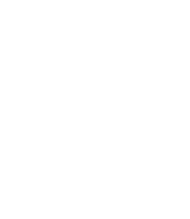 FIALUME ENERGY symbol